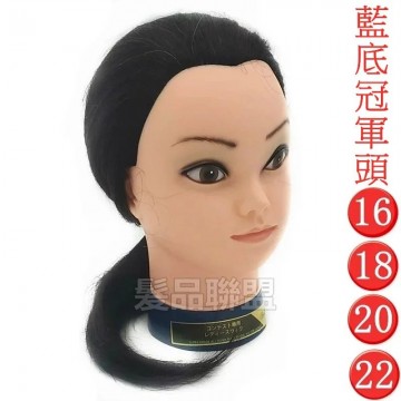 16吋18吋20吋22吋藍底冠軍頭